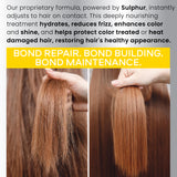 Bond Repair Shampoo and Conditioner Set